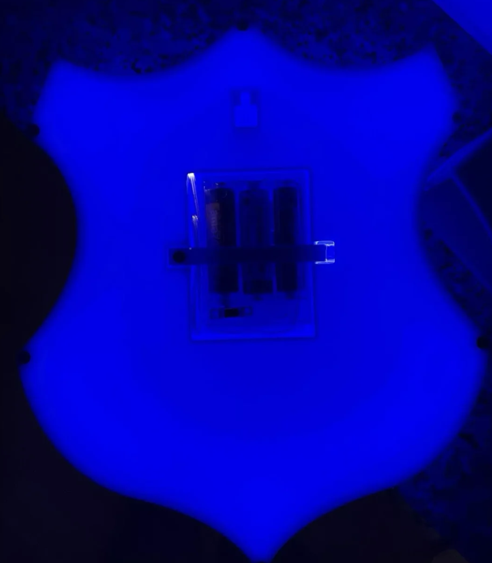 TSG 1899 Hoffenheim LED-Leuchtschild