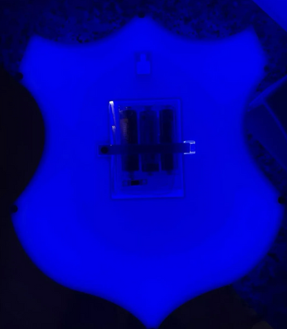 TSG 1899 Hoffenheim LED-Leuchtschild